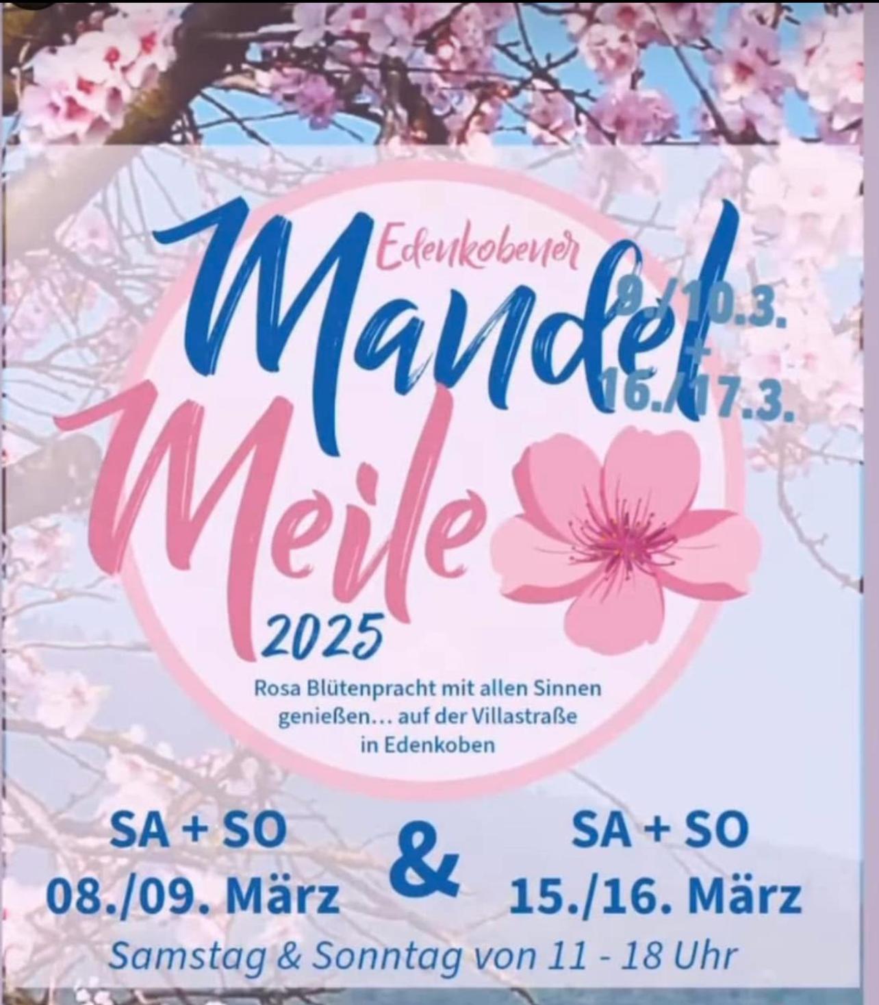 Hotel Zum Goldenen Ochsen Maikammer Εξωτερικό φωτογραφία