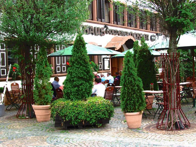 Hotel Zum Goldenen Ochsen Maikammer Εξωτερικό φωτογραφία